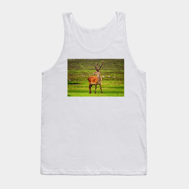 Highland Stag Tank Top by Jane Braat